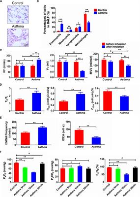 Activated Oxytocin Neurons in the PVN-DVC Pathway in Asthmatic Rats